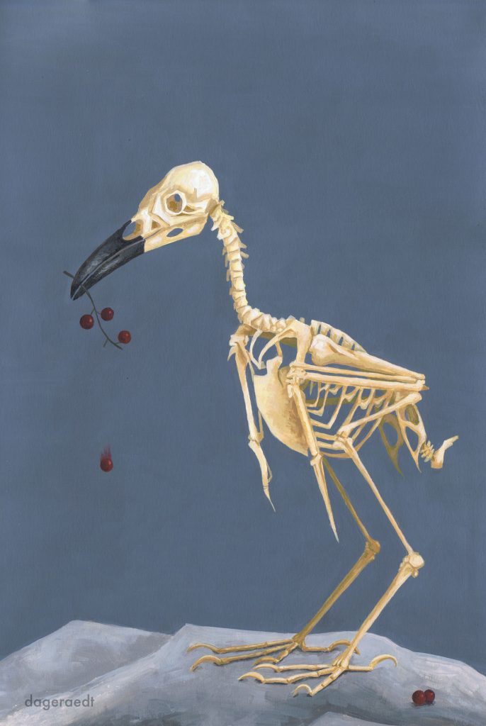 Skeleton of a crow carrying a little branch with three berries on it. One barry is falling off. He is standing on a stone.