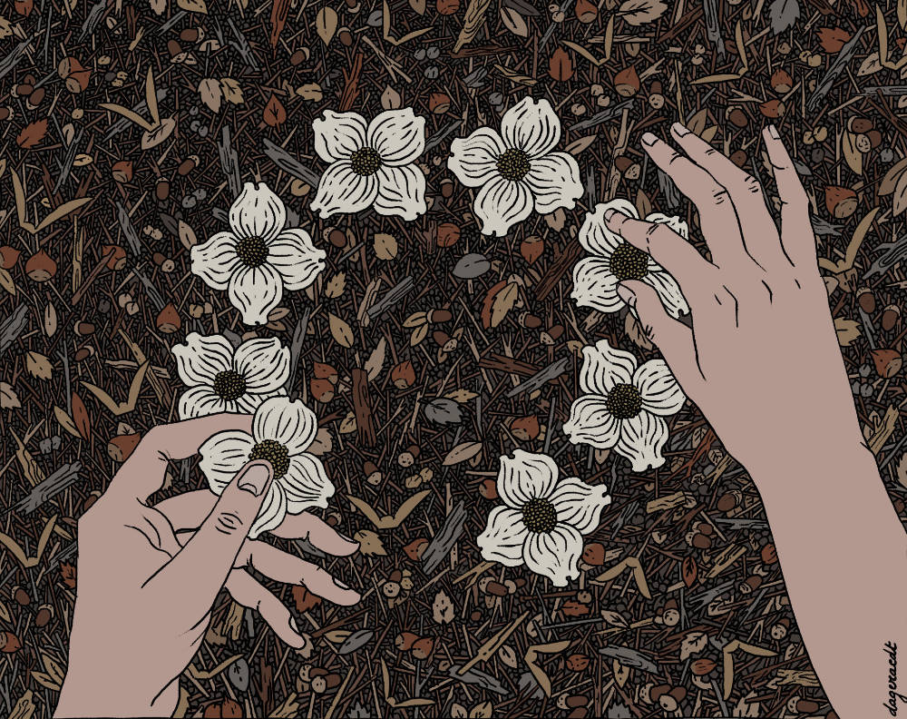 Colored pen drawing of two hands making a flower circle on a forest floor. The flowers are white and look like dogwood flowers. One hand is holding a flower, another one is adjusting a flower already on the ground. It looks like a scene that could have taken place in fall. On the ground there are little leaves, nuts, small branches.