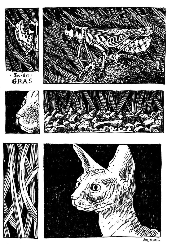 One page comic depicting a grasshopper, grass and a sphynx cat.