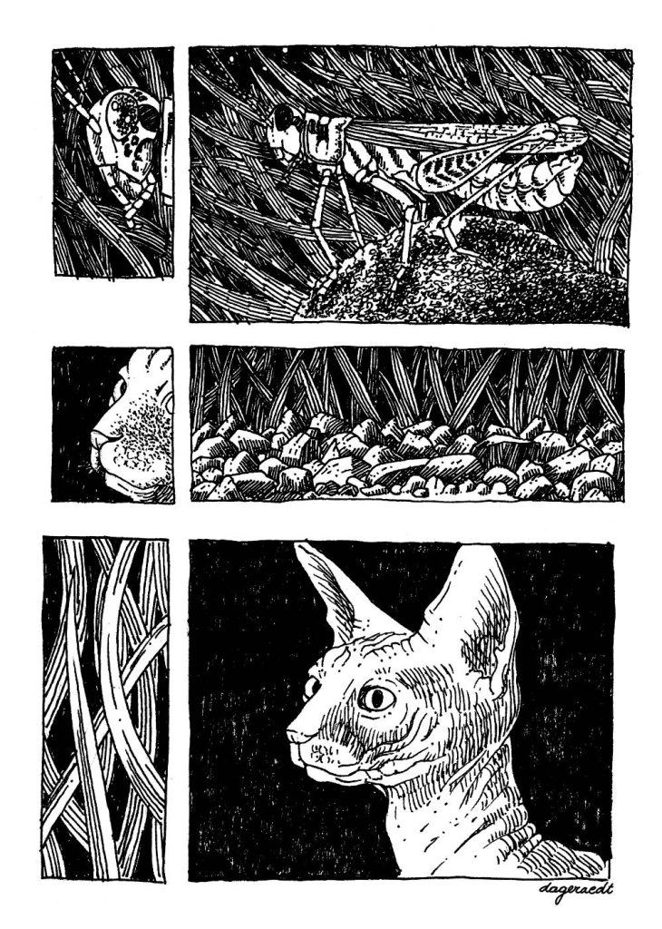 One page comic depicting a grasshopper, grass and a sphynx cat.