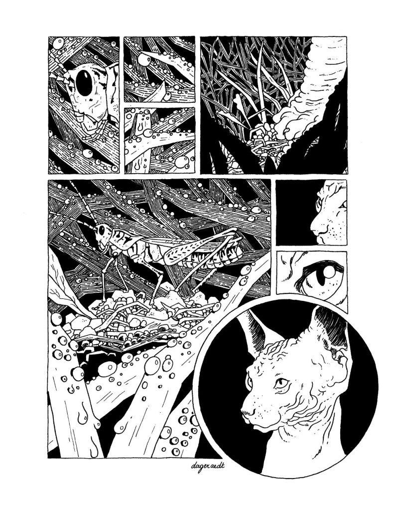 One-page comic about a grasshopper and a mysterious visitor (a sphinx cat)
